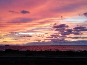 Photo 18- click for photo gallery